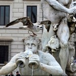 Fontana del moro, piazza navona.